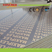 Veneer Boards Plywood Type and Outdoor Usage Film Faced Plywood